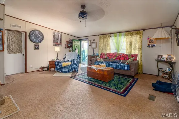 8215 State rte 146, Vienna, IL 62912