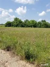 0 Route 66 (Hwy W), Phillipsburg, MO 65722