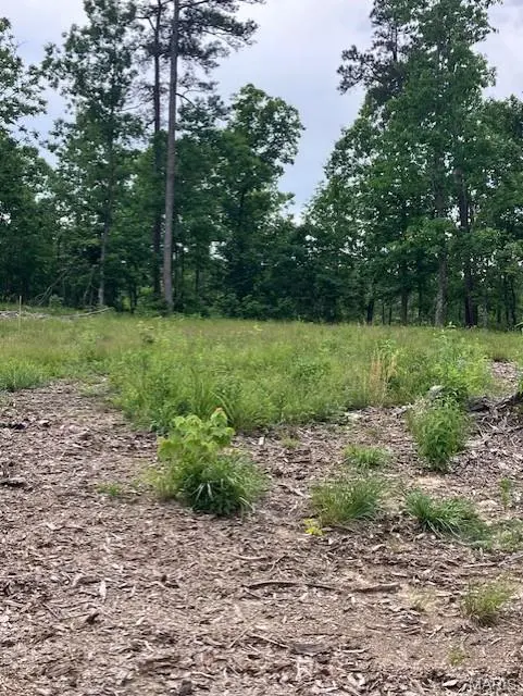 276 Madison CR 410, Fredericktown, MO 63645