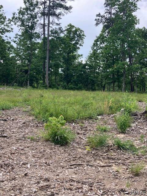 276 Madison CR 410, Fredericktown, MO 63645