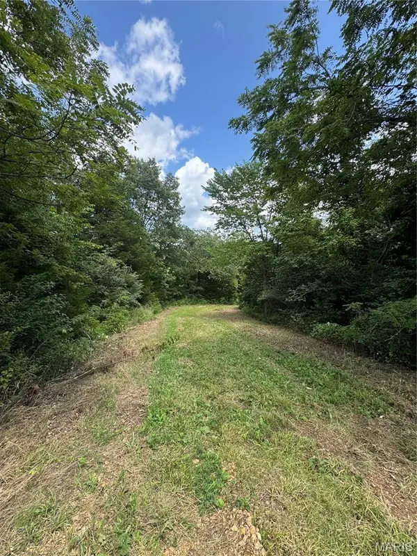 101.14+/- ac Highway D, Frohna, MO 63748