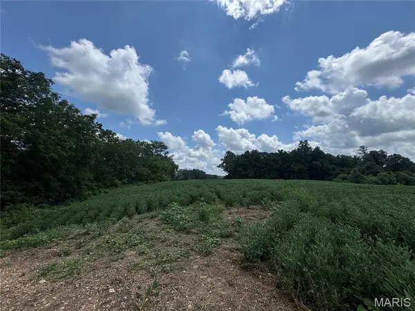 101.14+/- ac Highway D, Frohna, MO 63748