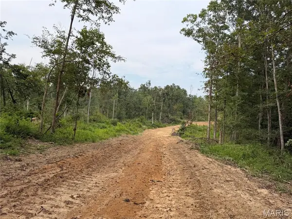 Tract 6 BCR 702, Glen Allen, MO 63751