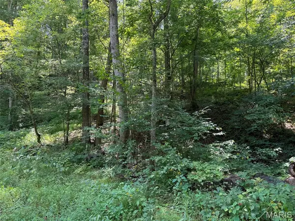 #404 Madison 410, Fredericktown, MO 63645