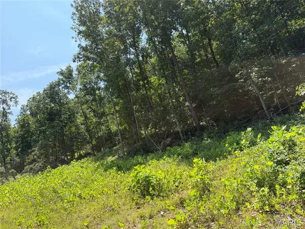 #404 Madison 410, Fredericktown, MO 63645