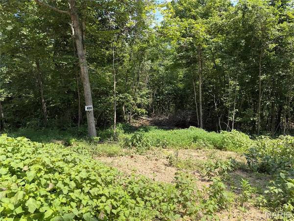 #408 Madison 410, Fredericktown, MO 63645