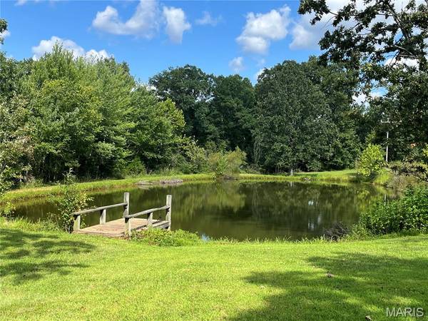 45 Highway 49, Cherryville, MO 65446