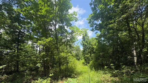 0 H Highway, Ellington, MO 63638