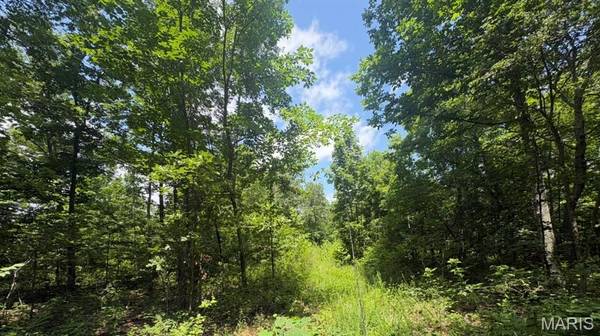 0 H Highway, Ellington, MO 63638