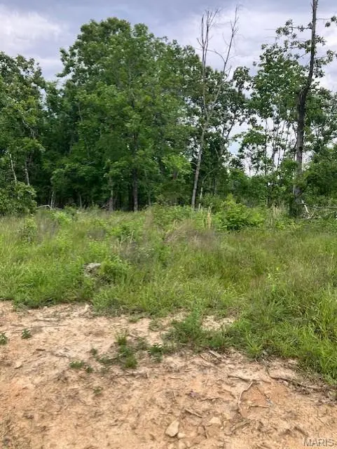 38 Madison CR 410, Fredericktown, MO 63645