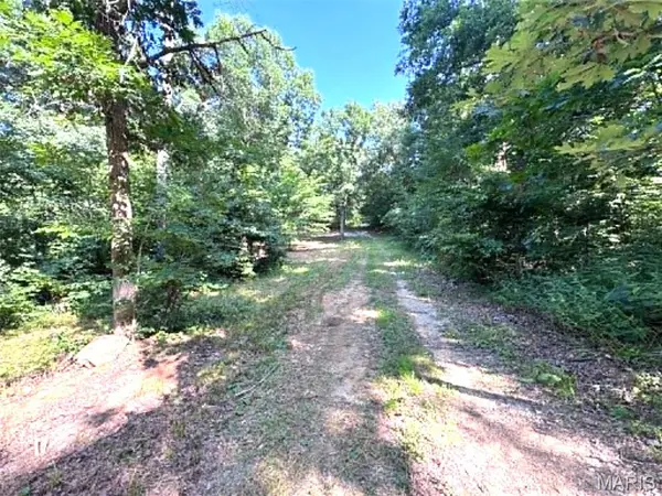 43121 Deerview Trail, Monroe City, MO 63456
