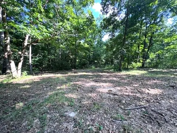 43121 Deerview Trail, Monroe City, MO 63456