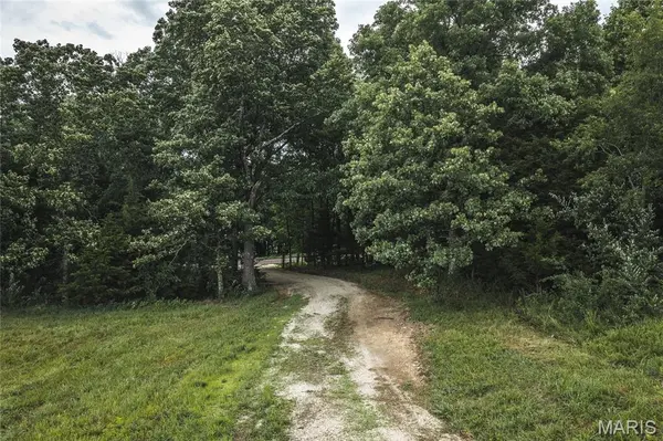 TBD Highway 19, Steelville, MO 65565