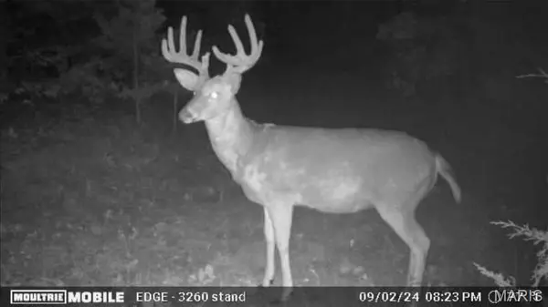 11717 Harmon RD, Potosi, MO 63664