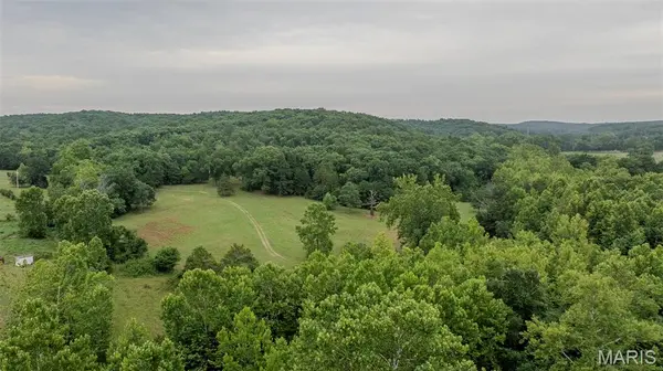 11717 Harmon RD, Potosi, MO 63664