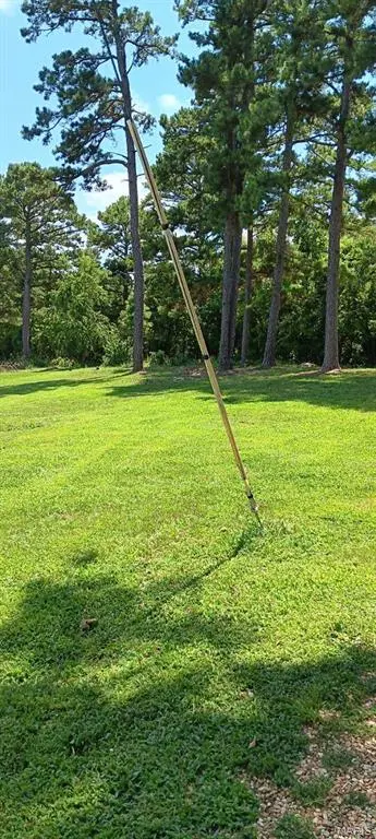 0 Edgar Road, Salem, MO 65560