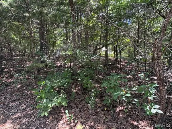 61 Sumter DR, Unincorporated, MO 63050