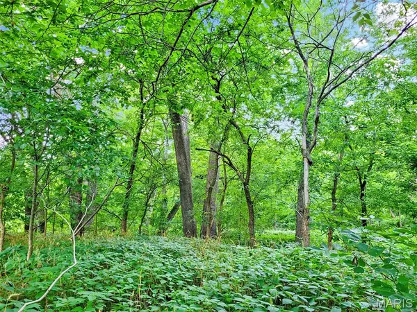 225 Valley View (Lot 29) DR, Hawk Point, MO 63349