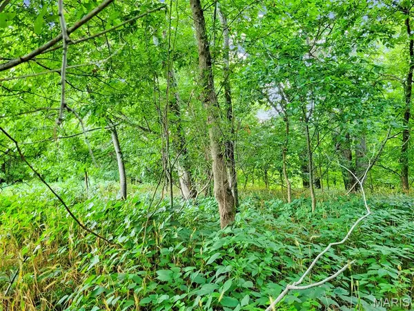 225 Valley View (Lot 29) DR, Hawk Point, MO 63349