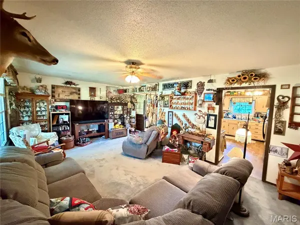 670 County Road 4220, Salem, MO 65560