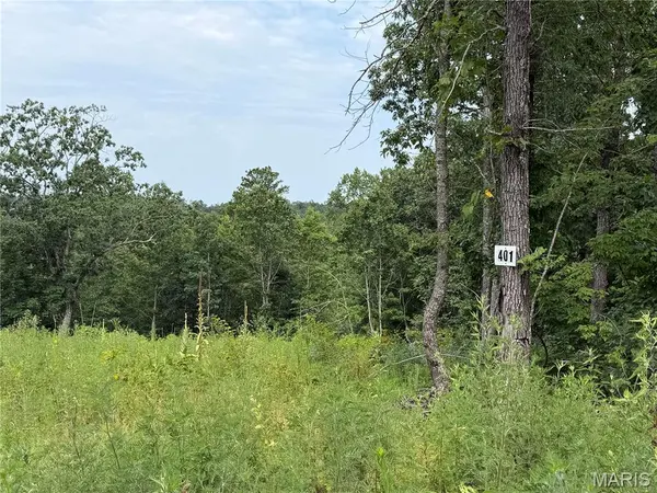 #401 Madison 410, Fredericktown, MO 63645