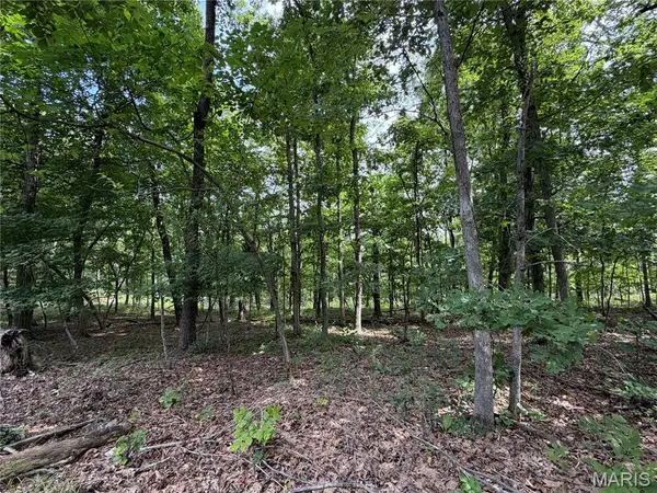 #305 Madison 410, Fredericktown, MO 63645
