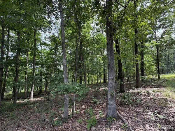 #305 Madison 410, Fredericktown, MO 63645