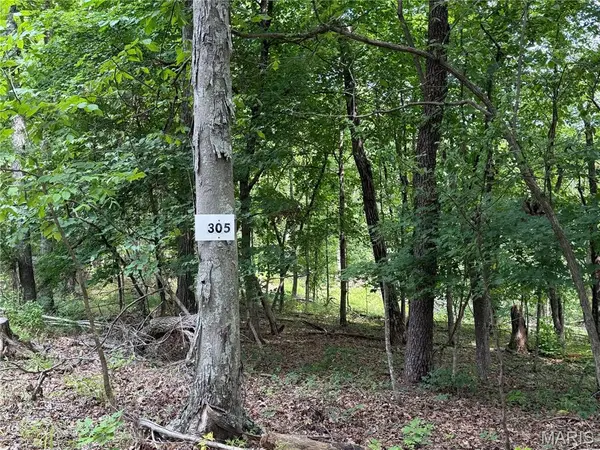 #305 Madison 410, Fredericktown, MO 63645