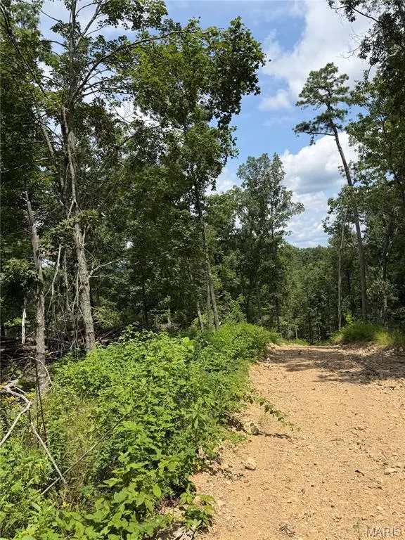 #406 Madison 410, Fredericktown, MO 63645