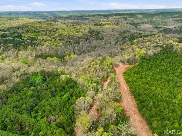 Tract3 W Highway 32, Licking, MO 65542