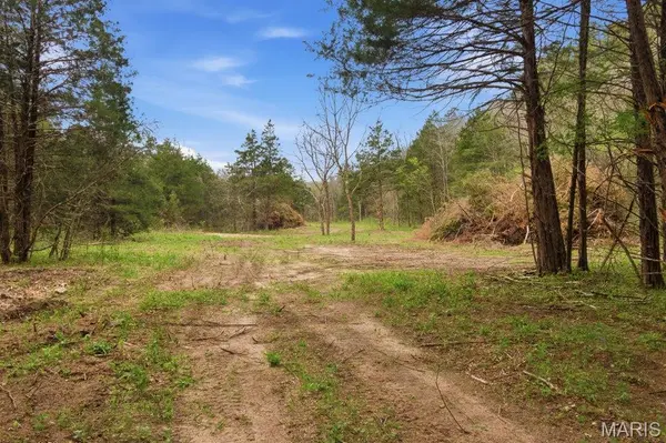 Tract 5 W Highway 32, Licking, MO 65542