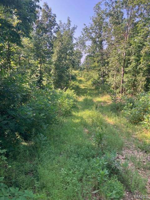 281 Madison CR 410, Fredericktown, MO 63645