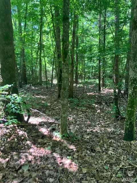 281 Madison CR 410, Fredericktown, MO 63645