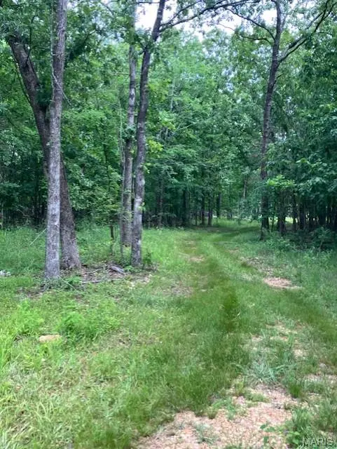 282 Madison CR 410, Fredericktown, MO 63645