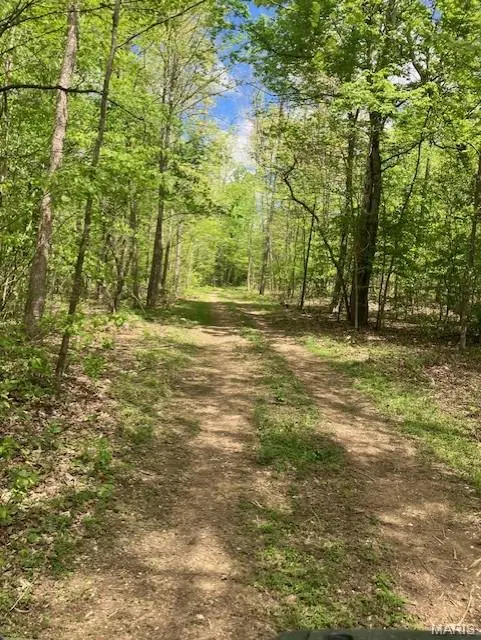 284 Madison CR 410, Fredericktown, MO 63645