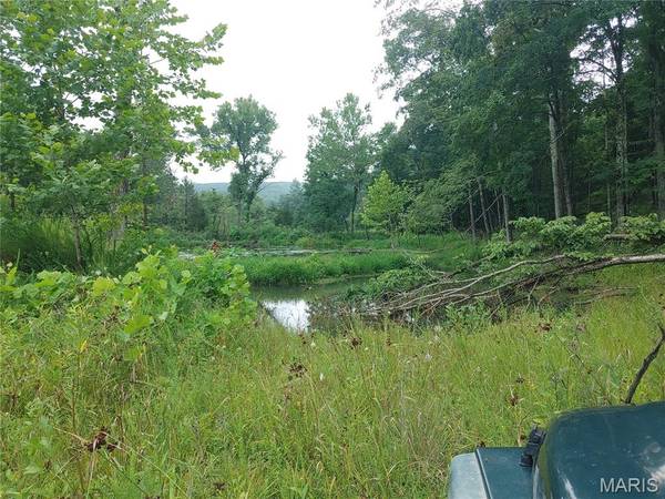 2139 County Road 101, Ironton, MO 63650