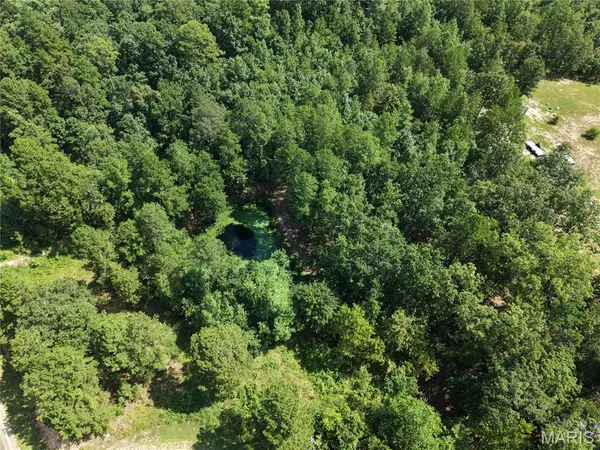 69042 Missouri 21, Ellington, MO 63638