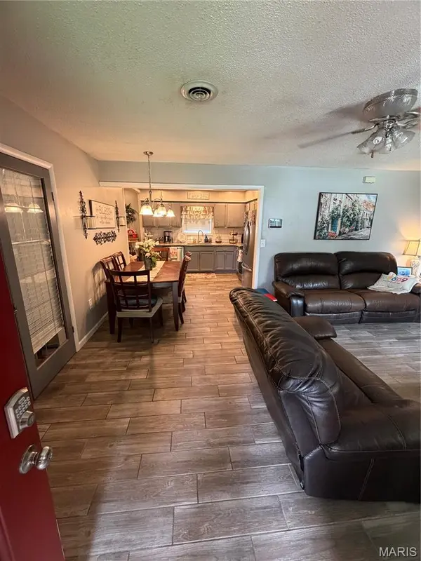 160 Saint Elizabeth LN, New Madrid, MO 63869