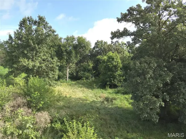 1 250 TH Street, Lewistown, MO 63452