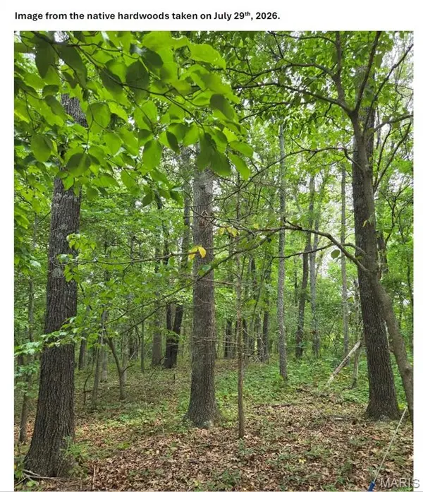 TBD Red Oak Rd, Waynesville, MO 65583