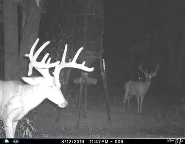 Tract 1 00 Summit RD, Hartville, MO 65667