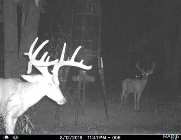 Tract 1 00 Summit RD, Hartville, MO 65667