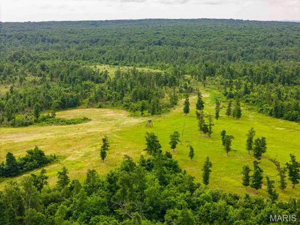 Tract 2 00 Summit RD, Hartville, MO 65667
