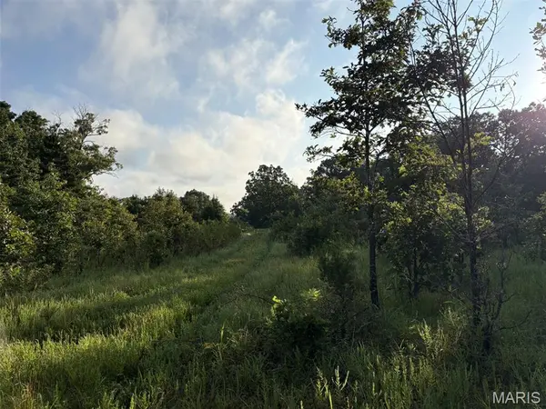 245+/- Acres Hwy 185, Sullivan, MO 63080