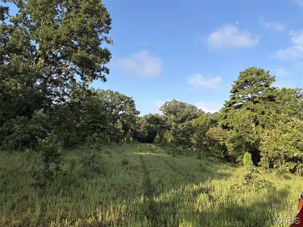 245+/- Acres Hwy 185, Sullivan, MO 63080