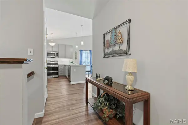 821 Black Bear DR, House Springs, MO 63051