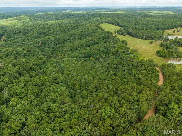 000 County Road 434, Piedmont, MO 63957