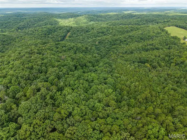 000 County Road 434, Piedmont, MO 63957