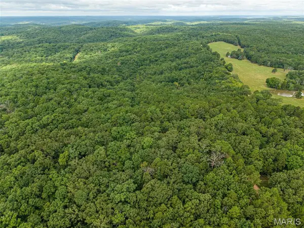 000 County Road 434, Piedmont, MO 63957