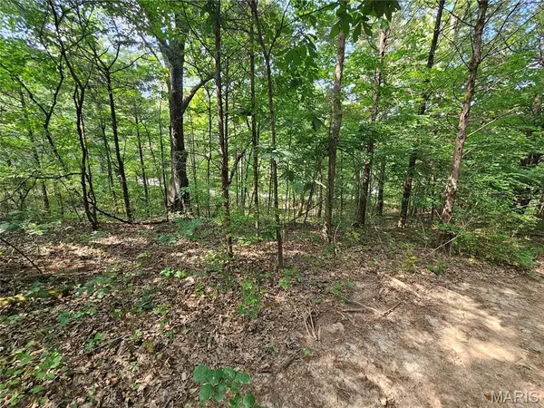 9468 Bent Tree DR, Hillsboro, MO 63050